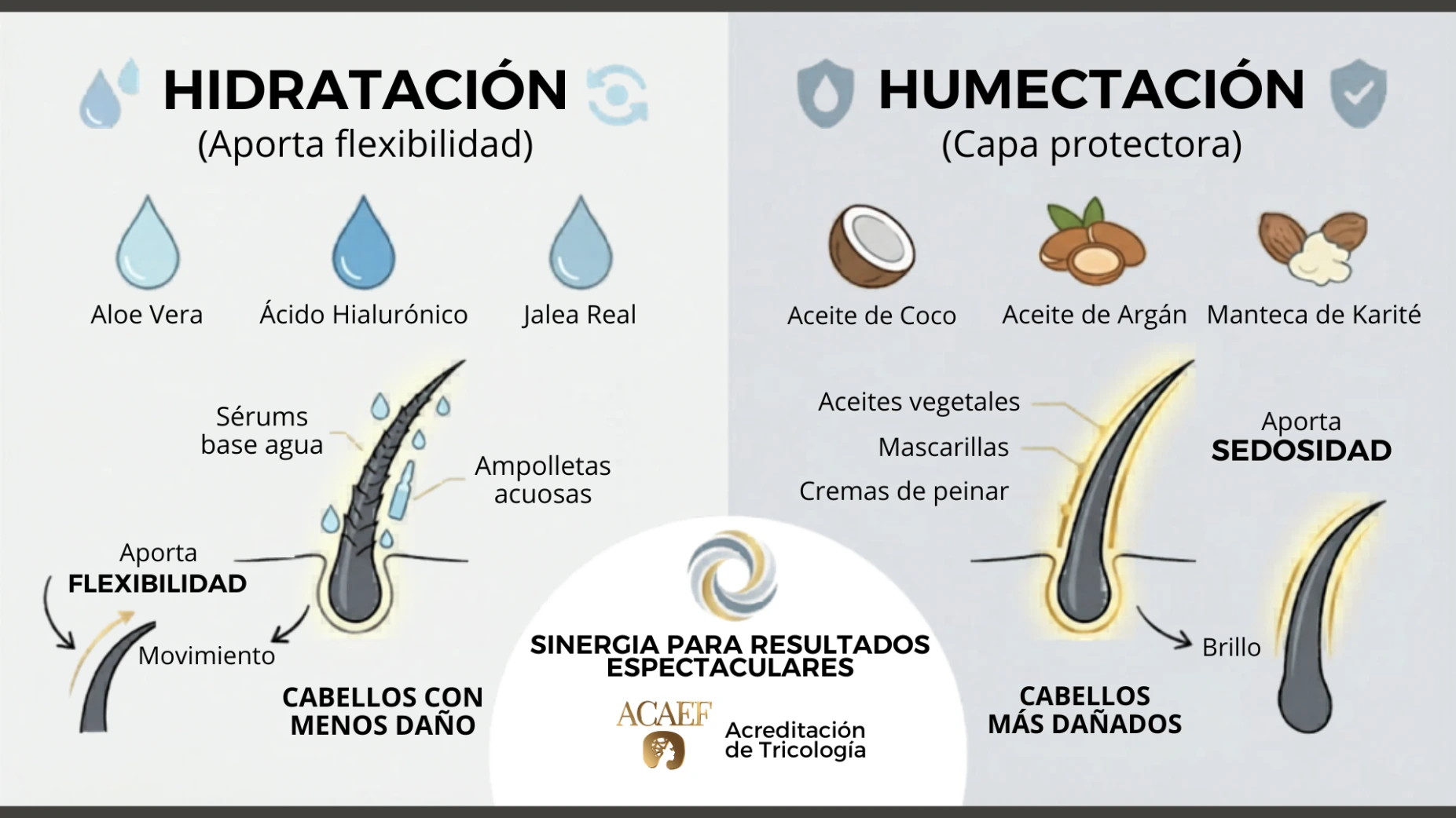 Infografia Hidratacion vs Humectacion en el cabello