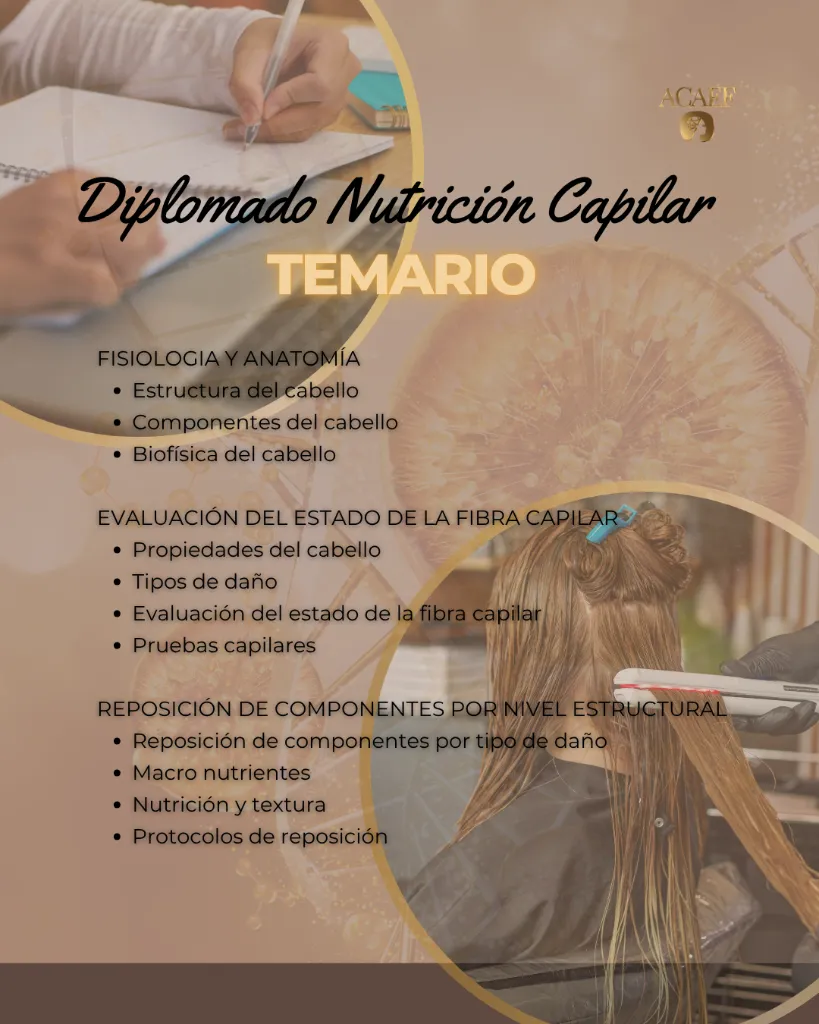 27.webp