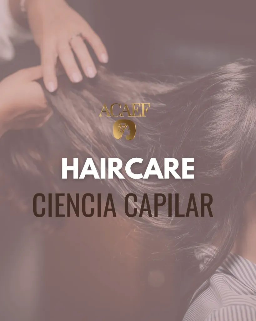 Diplomado 3 | Haircare