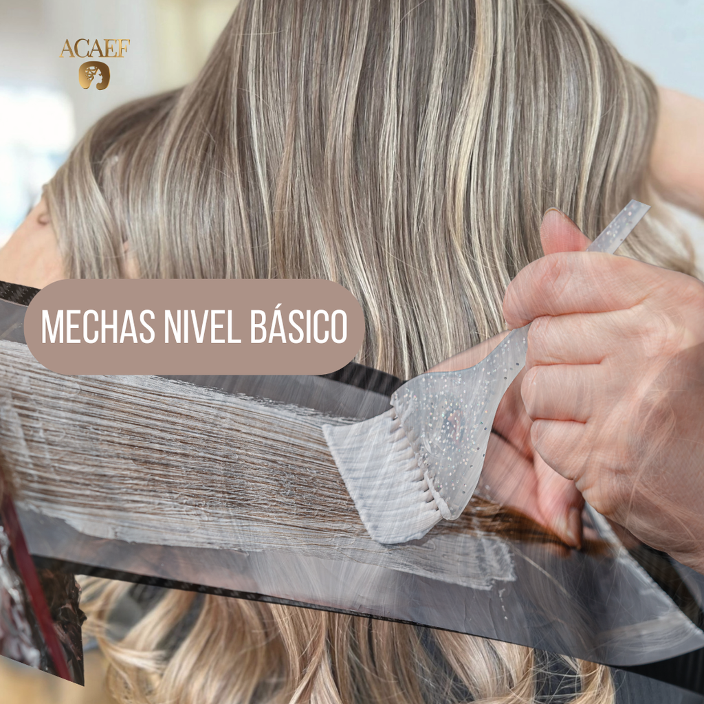 Diplomado | Efectos de Color Básico