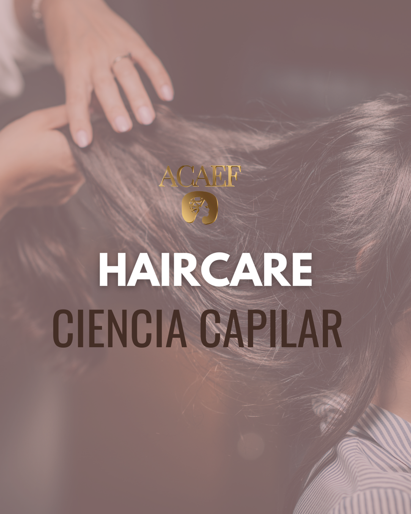 Diplomado 3 | Haircare